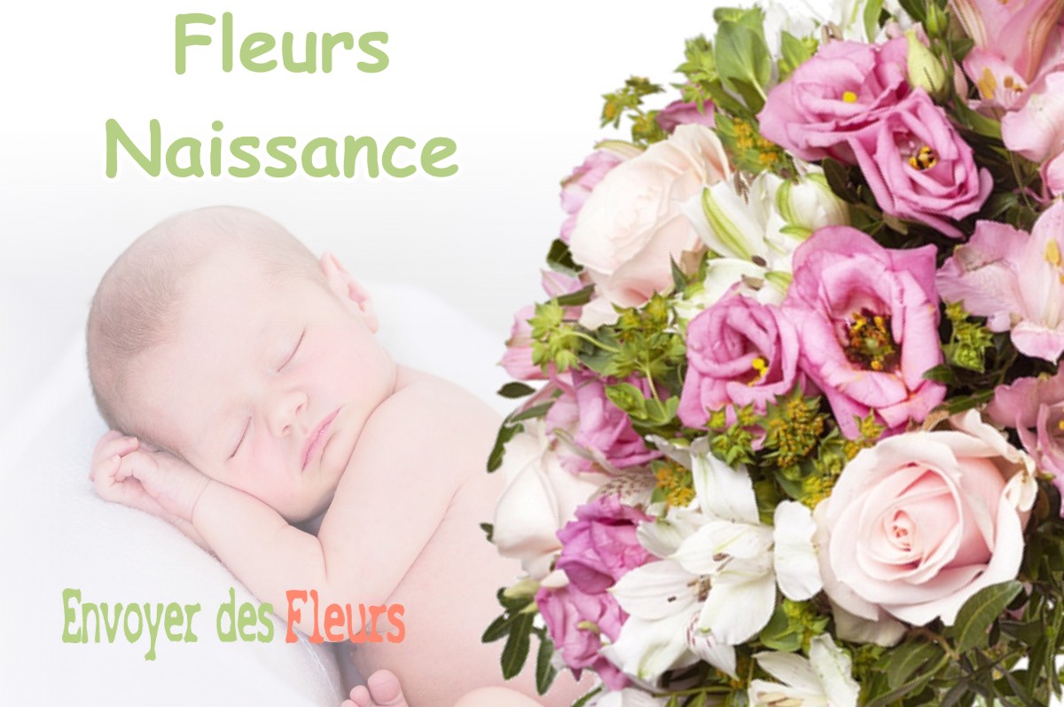 lIVRAISON FLEURS NAISSANCE à VILLERS-SOUS-PAREID